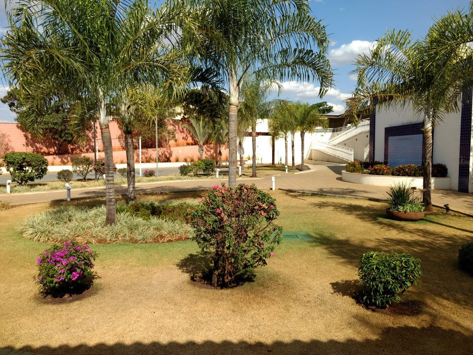Um bosque no parque das laranjeiras em Goiania